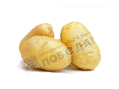 Картофель желтый свежий урожай вес